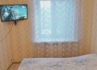 Аренда 2-комнатной квартиры, 58 м2, Нижний Новгород, Советский район, улица Белинского, 85