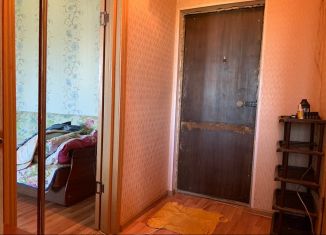 Продается 1-комнатная квартира, 32.2 м2, деревня Кисельня, Центральная улица, 13