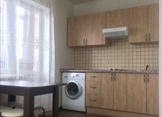 Сдаю квартиру студию, 30 м2, Ставрополь, проспект Кулакова, 65/1, Октябрьский район