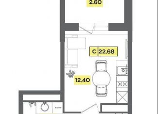 Продам квартиру студию, 22.7 м2, деревня Радумля