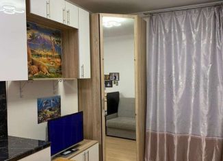 Квартира на продажу студия, 25 м2, Санкт-Петербург, проспект Ветеранов, 169к1, метро Проспект Ветеранов