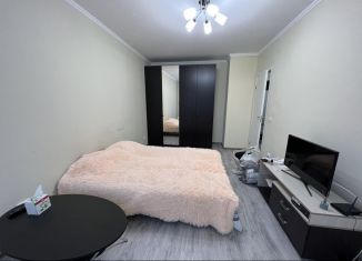 1-комнатная квартира в аренду, 33.8 м2, поселок Бугры, Воронцовский бульвар, ЖК Мурино 2019
