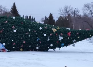 Продается гараж, 20 м2, село Еткуль, Первомайская улица, 12