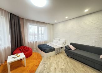 1-комнатная квартира в аренду, 42 м2, Калининград, улица Аксакова, 133, ЖК Восток