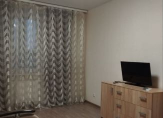 Сдается в аренду 1-комнатная квартира, 36 м2, село Осиново, улица Гайсина, 4Б