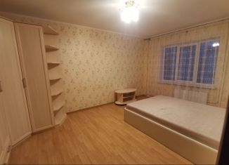 Аренда 1-комнатной квартиры, 43 м2, деревня Родина, Владимирская улица, 7А