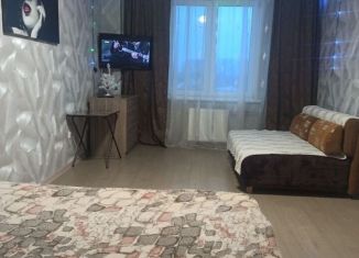 1-комнатная квартира в аренду, 40 м2, Республика Башкортостан, улица Шмидта, 41