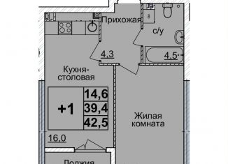 1-комнатная квартира на продажу, 42 м2, Нижний Новгород