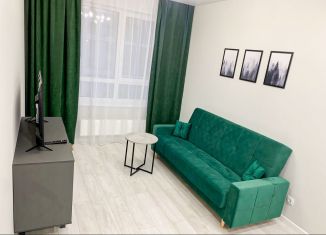 1-комнатная квартира в аренду, 40 м2, Санкт-Петербург, проспект Авиаконструкторов, Приморский район