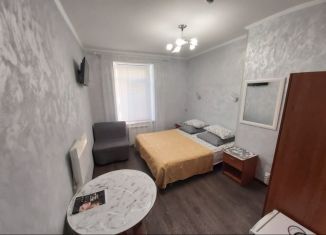 Сдам в аренду квартиру студию, 20 м2, Санкт-Петербург, Разъезжая улица, 42/34, Разъезжая улица