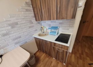 Квартира в аренду студия, 20 м2, Тюмень, улица Энергетиков, 30А