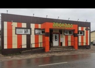 Продается торговая площадь, 225 м2, Пензенская область, Центральная улица, 54А