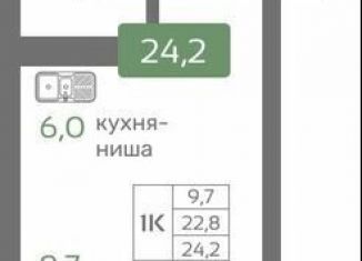 Продается однокомнатная квартира, 24.2 м2, Красноярский край, Норильская улица, с2