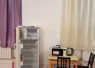 Сдаю квартиру студию, 30 м2, Омск, Транссибирская улица, 6к2