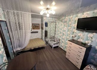 Однокомнатная квартира в аренду, 34 м2, Красноярский край, Комсомольская улица, 30