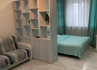 Сдается 2-ком. квартира, 60 м2, Ростовская область, переулок Мичурина, 8