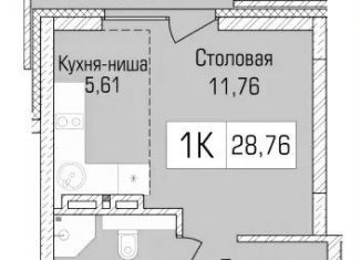 Продается квартира студия, 28.8 м2, Новосибирская область