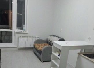 Сдача в аренду однокомнатной квартиры, 20 м2, Саранск, улица Анны Лусс, 7В