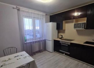 Сдается в аренду 2-ком. квартира, 57 м2, Тюмень, улица Газовиков, 61