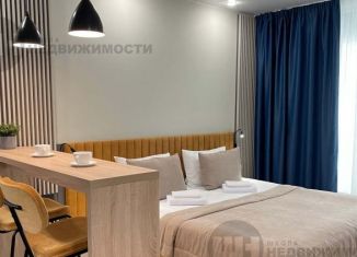 Продается квартира студия, 23.4 м2, Санкт-Петербург, Красногвардейский район, проспект Энергетиков, 8к2