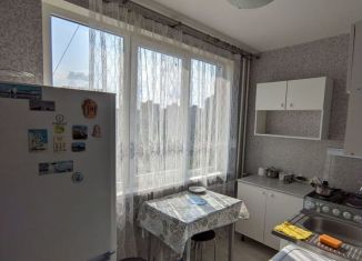 Сдается 1-ком. квартира, 33 м2, Санкт-Петербург, Купчинская улица, 17к2, Фрунзенский район