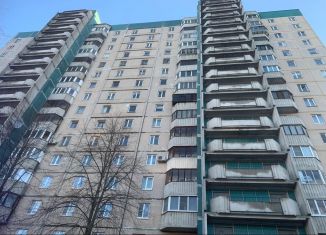 Продажа 1-комнатной квартиры, 39 м2, Санкт-Петербург, Елагинский проспект, 40к4, муниципальный округ № 65