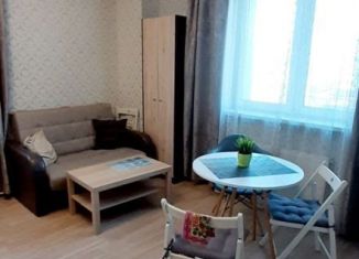 Сдам квартиру студию, 30 м2, Санкт-Петербург, Смоленская улица, 18, муниципальный округ Московская Застава