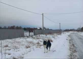 Земельный участок на продажу, 25 сот., деревня Покровское, Центральная улица