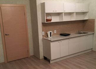 Сдам в аренду квартиру студию, 27 м2, Сертолово, Тихвинская улица, 10к6