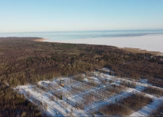 Продам участок, 7.4 сот., городской посёлок имени Морозова, улица Хесина