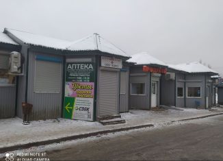 Продаю торговую площадь, 22.4 м2, поселок Романовка, шоссе Дорога Жизни, 1