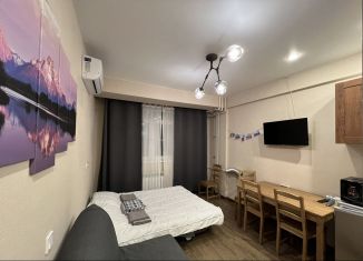 Сдам 1-комнатную квартиру, 24 м2, село Эстосадок, Эстонская улица, 37к6