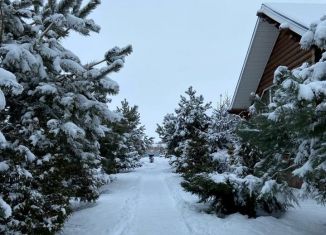 Сдача в аренду дома, 20 м2, Самарская область, Советская улица, 1