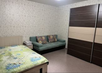 Сдается 2-комнатная квартира, 53 м2, Татарстан, проспект Мира, 119