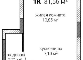 Продам квартиру со свободной планировкой, 31.6 м2, Нижегородская область