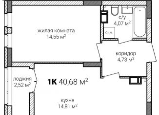 Продается 1-комнатная квартира, 40.7 м2, Нижний Новгород, Советский район