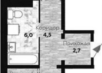 1-комнатная квартира на продажу, 46.8 м2, Новосибирская область