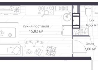 Продажа квартиры студии, 24.1 м2, Ленинградская область
