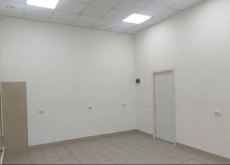 Аренда помещения свободного назначения, 25 м2, Свердловская область, проспект Мира, 56А