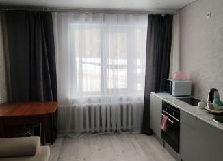 Продам однокомнатную квартиру, 29 м2, Воткинск, Школьная улица, 11