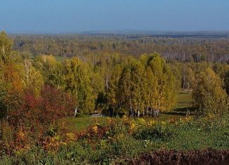 Продажа участка, 20000 сот., село Тогул, Российская улица