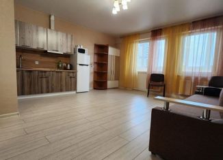 Квартира в аренду студия, 35 м2, Краснодар, Колхозная улица, 5, микрорайон Табачная Фабрика