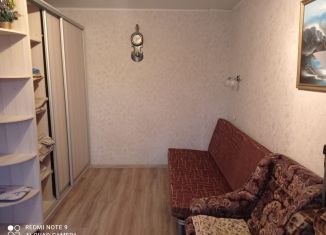 Аренда 1-комнатной квартиры, 33 м2, поселок Литвиново, посёлок Литвиново, 14