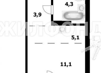 Продажа однокомнатной квартиры, 19.4 м2, Обь, Октябрьская улица, 3