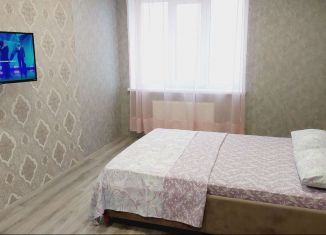 Аренда однокомнатной квартиры, 39 м2, Самарская область, Революционная улица