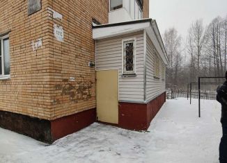 3-комнатная квартира на продажу, 65 м2, городской поселок Большая Ижора, улица Астанина, 13