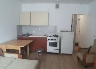 Сдам 1-ком. квартиру, 27 м2, Екатеринбург, Дорожная улица, ЖК Весна