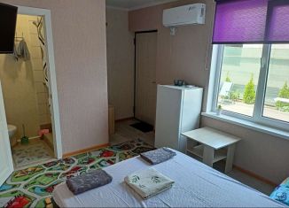 Сдача в аренду комнаты, 18 м2, посёлок Пятихатки, Сельский переулок, 5