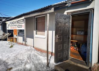 Сдам в аренду помещение свободного назначения, 19.5 м2, Елизово, Мурманская улица, 17