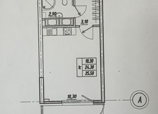 Сдам квартиру студию, 25 м2, посёлок Шушары, Новгородский проспект, 2к1